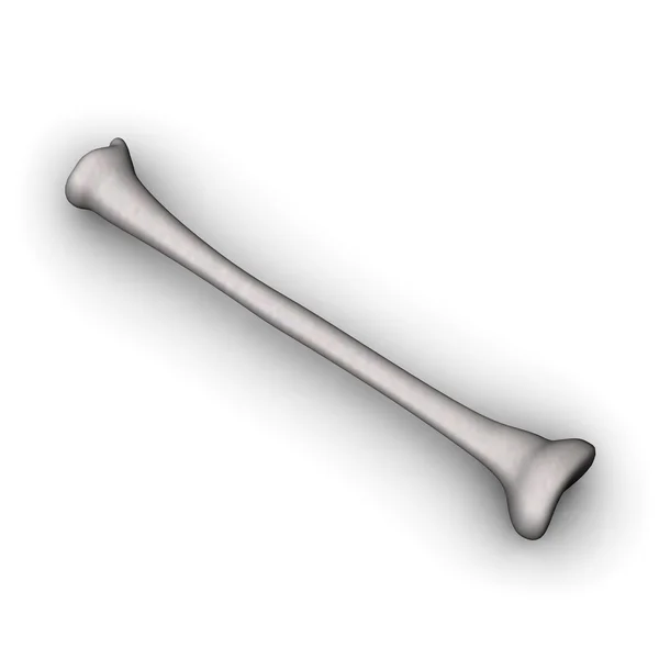 Человеческая кость — стоковое фото