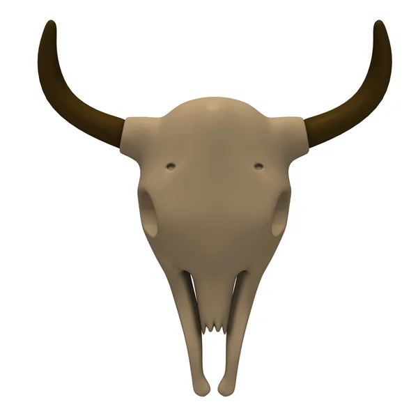 Cow skull — Stock Photo, Image