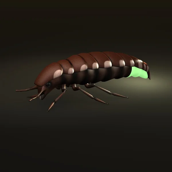 stock image Glow worm