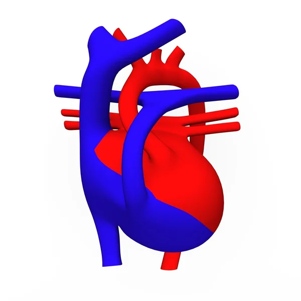 Esquema cardíaco — Fotografia de Stock