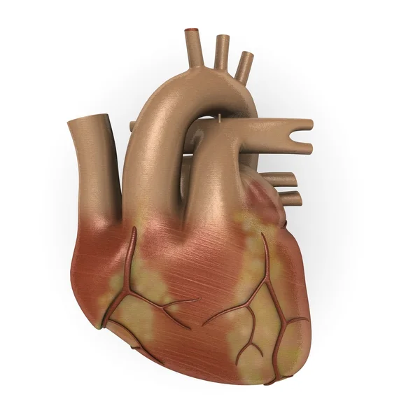 Людського серця — стокове фото