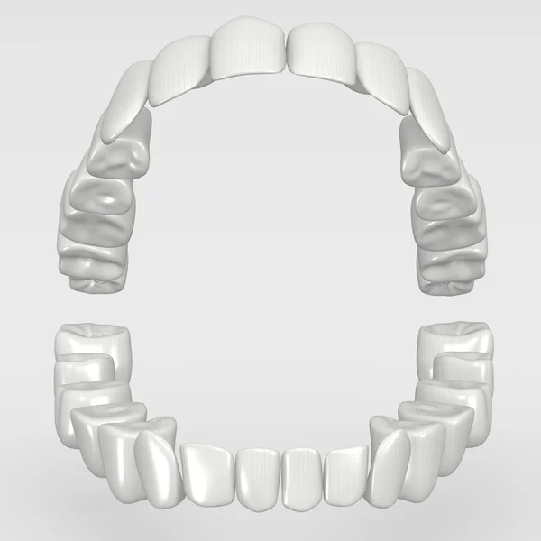Lidské zuby — Stock fotografie