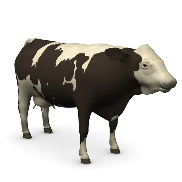 Vaca hembra — Foto de Stock