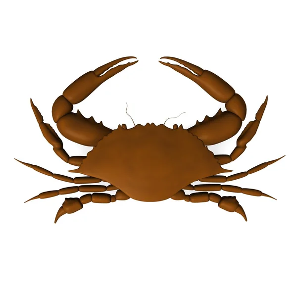 Krabben — Stockfoto