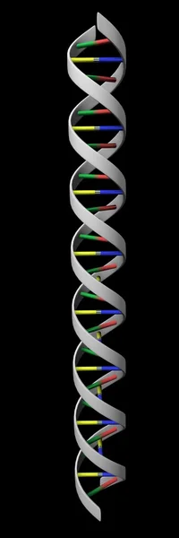 ДНК (генетическая информация ) — стоковое фото