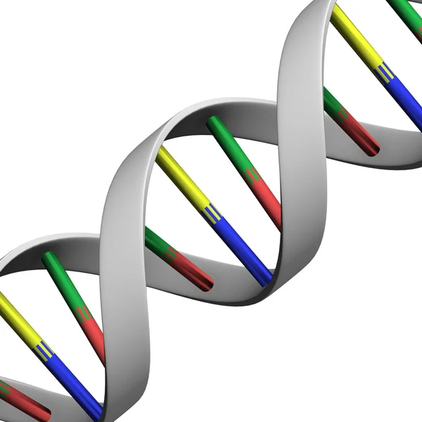 stock image DNA (genetic information)