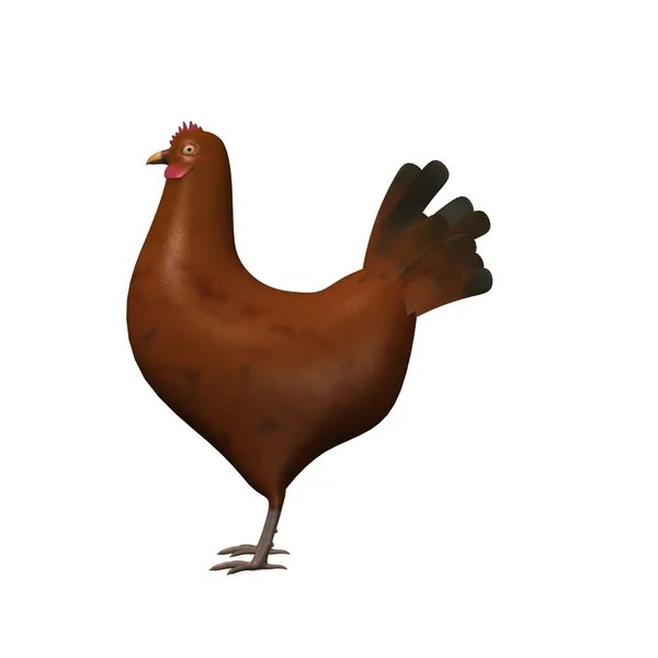 Hen bird — Stock Photo, Image