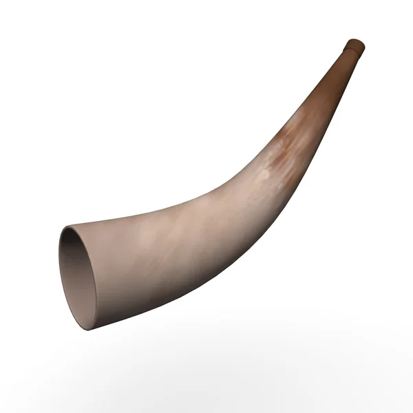Animal horn — Stock Photo, Image