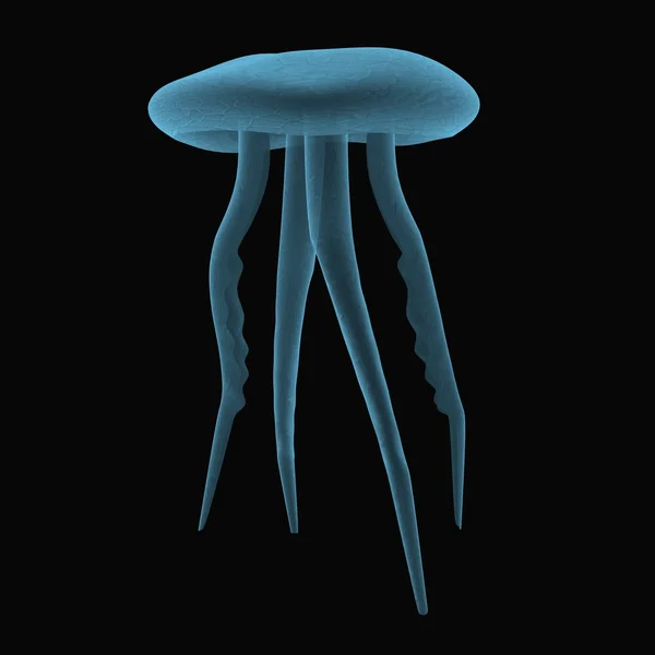Медузи — стокове фото