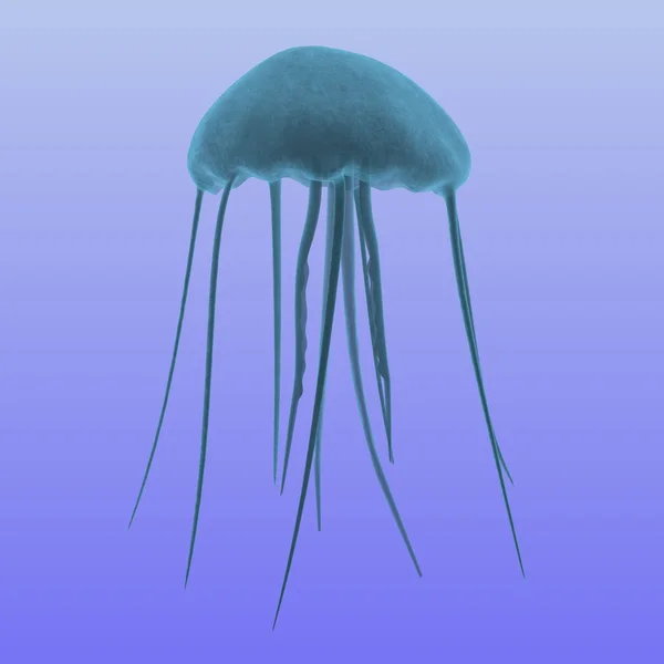 Medúza — Stock Fotó
