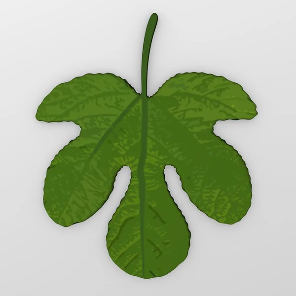 Liścia figowego — Zdjęcie stockowe