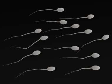 Sperm clipart