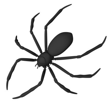 Spider clipart