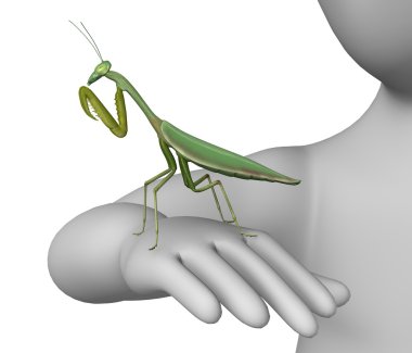 peygamber devesi