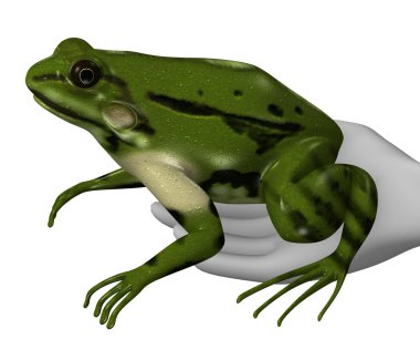 Frog clipart