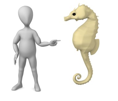 Sea horse clipart