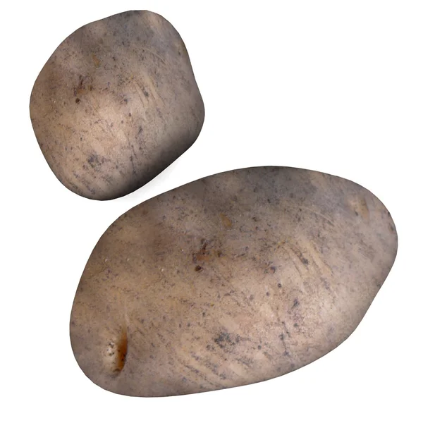 stock image Potato