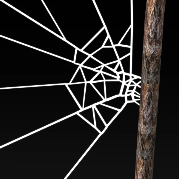SpiderWeb — Stok fotoğraf