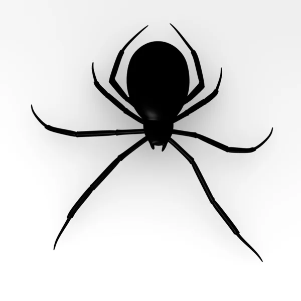 Spinne — Stockfoto