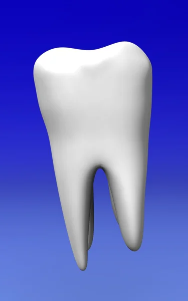 Diş — Stok fotoğraf