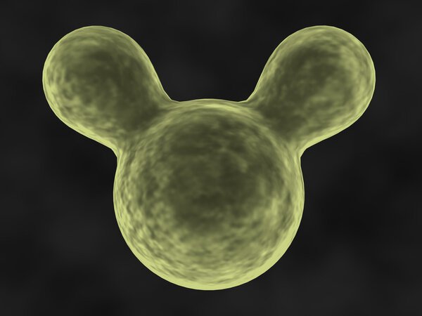 Молекула воды