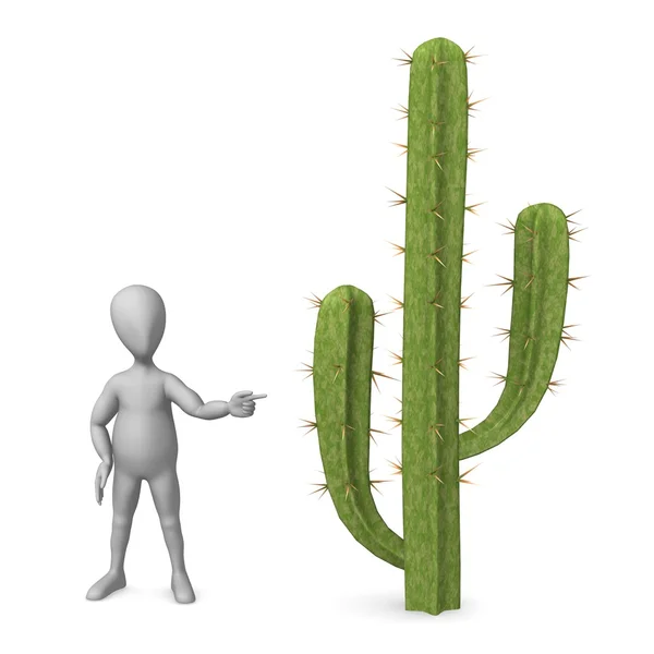 stock image Cactus