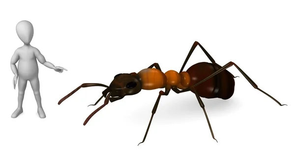 Ant の文字 — ストック写真