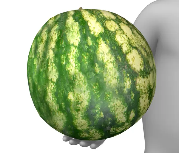 Melon — Stockfoto