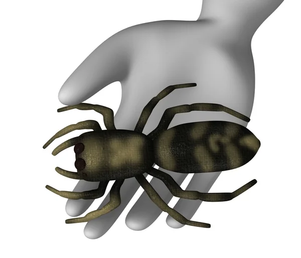 Stock image Spider