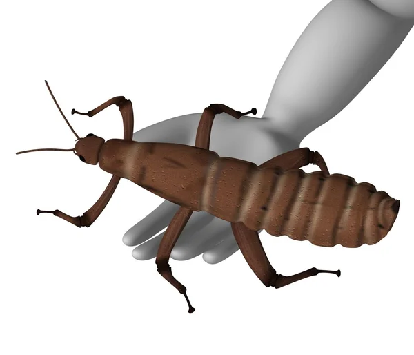 Spectre insect — Stock Photo, Image