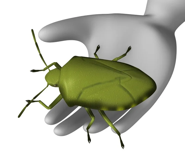 Bug puzzolente — Foto Stock