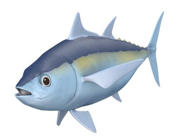 blackfin tuna 3D render