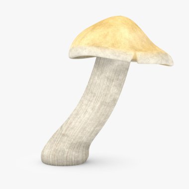 3d render of calocybe gambosa clipart