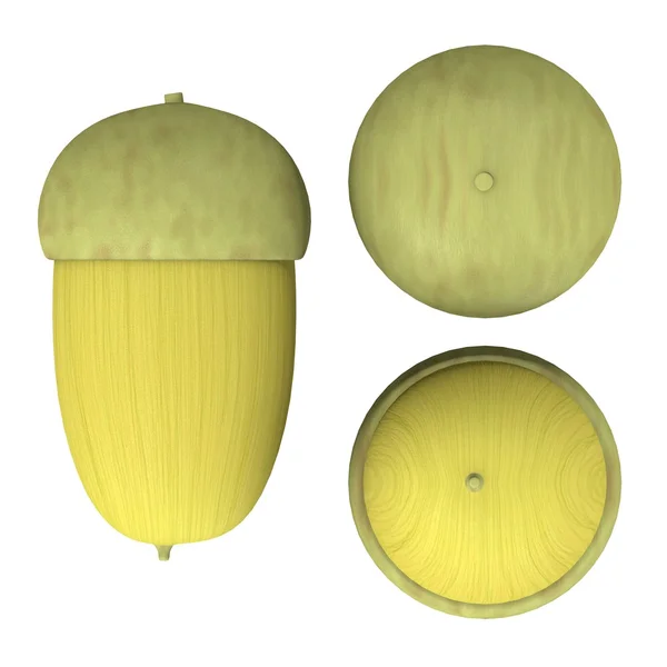 3d render of acorn — Stock Photo, Image