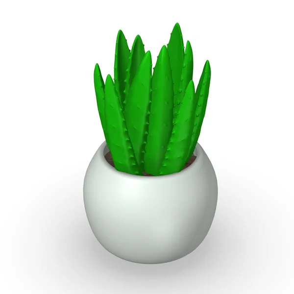 3D-Darstellung der Aloe-Pflanze — Stockfoto
