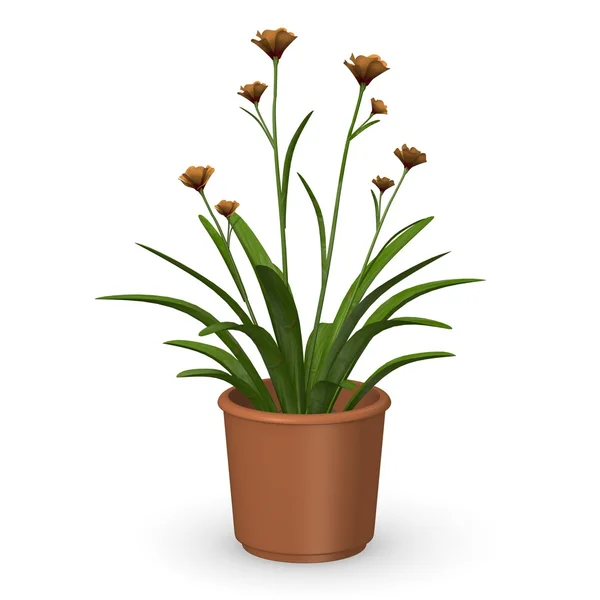 3d renderização da planta anighozantos — Fotografia de Stock