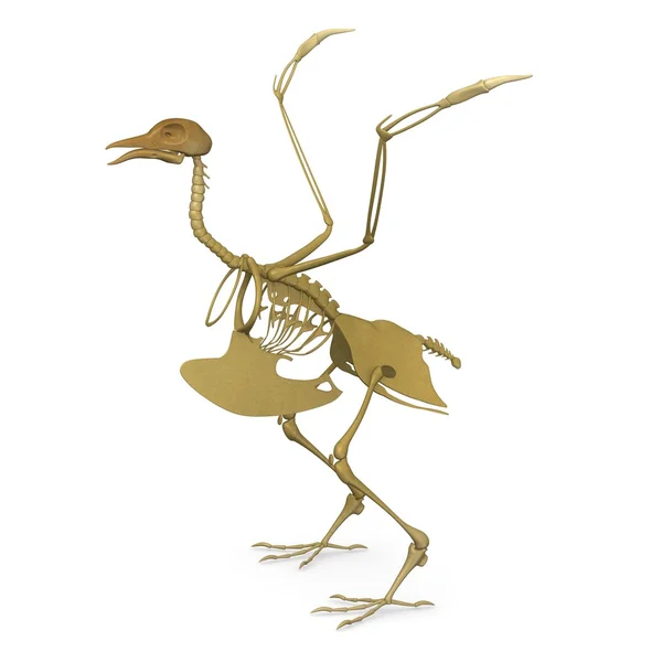 3D render av fågel skelett — Stockfoto