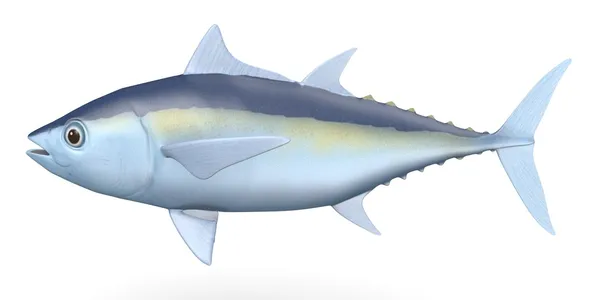 3d render dari tuna sirip hitam — Stok Foto
