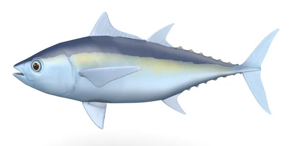 Blackfin マグロの 3 d レンダリング — ストック写真