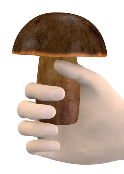 3D καθιστούν του χεριού με boletus — Φωτογραφία Αρχείου