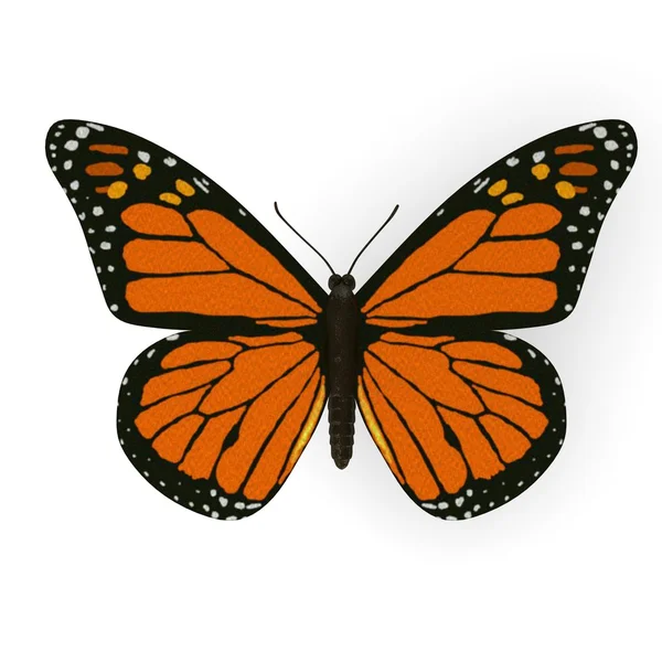 3D vykreslení monarch Butterfly — Stock fotografie