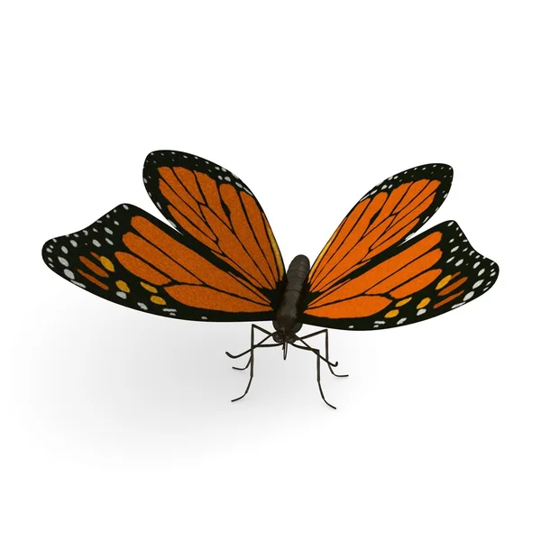 3D vykreslení monarch Butterfly — Stock fotografie