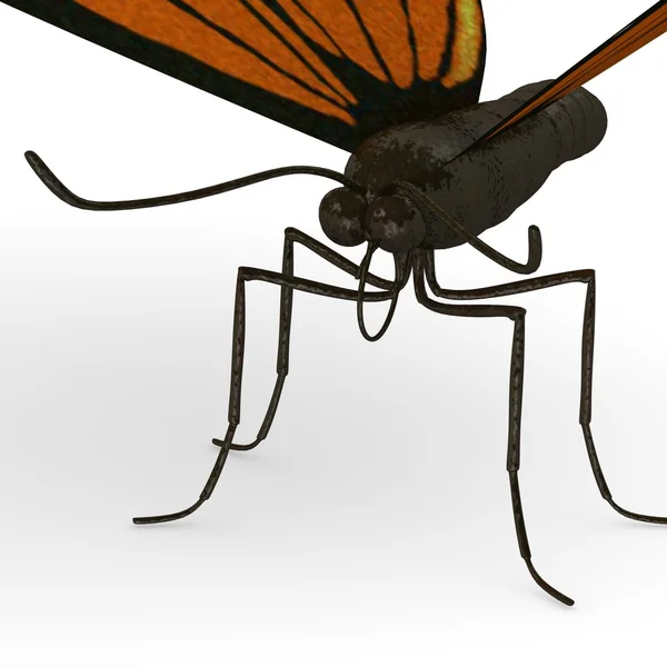 3d візуалізація монарха метелика — стокове фото