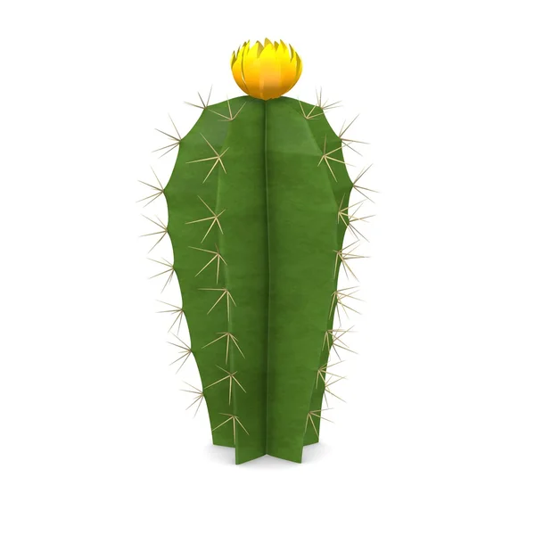 3d render of cactus flower — Stock Photo, Image