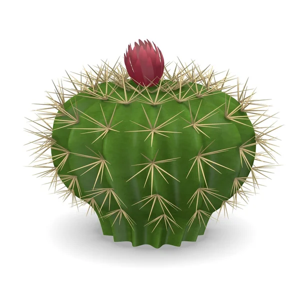 3D візуалізація квітки кактуса — стокове фото