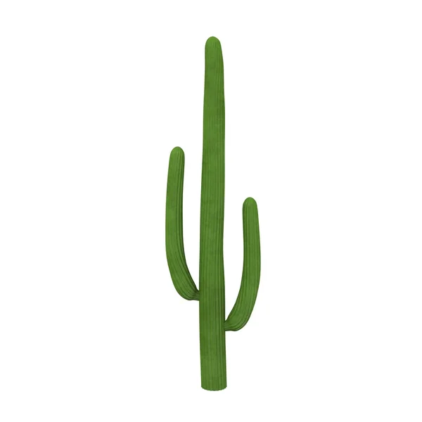 3d renderizado de flor de cactus — Foto de Stock