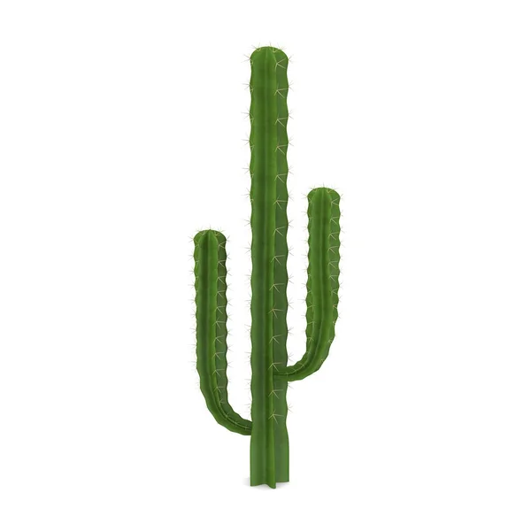 Rendering 3d del fiore di cactus — Foto Stock