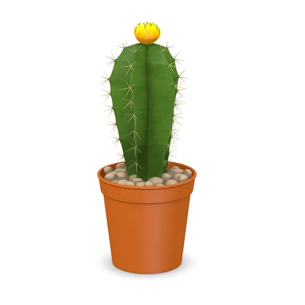 3D візуалізація квітки кактуса — стокове фото