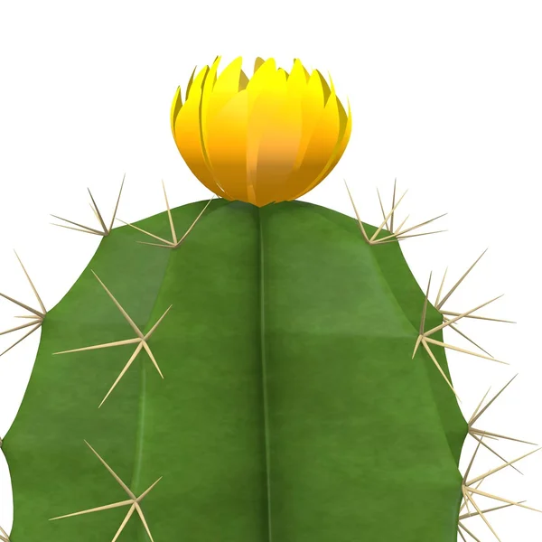 3D render, kaktusz virág — Stock Fotó