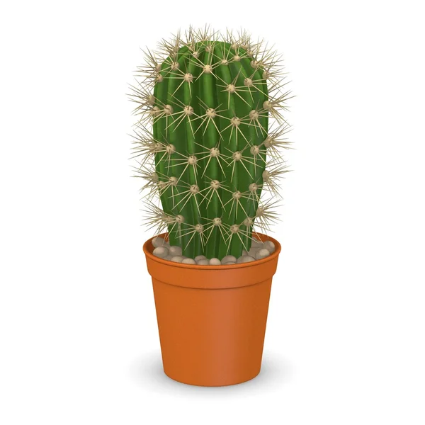 3d renderizado de flor de cactus —  Fotos de Stock